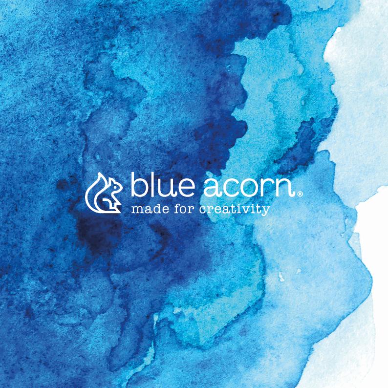 Blue Acorn Product Brochure